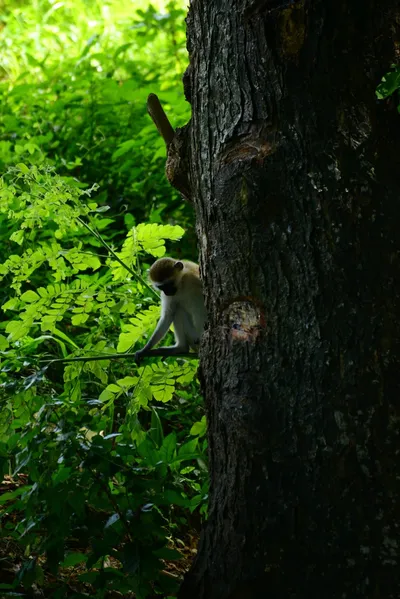 DSC_7872 (Large).JPG